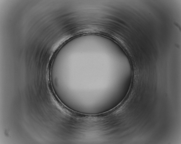 X0000103491034200809120946