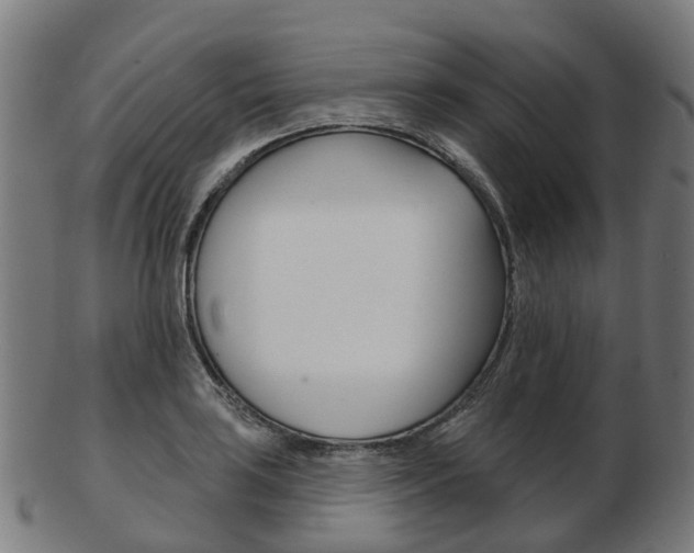 X0000103491035200809120946