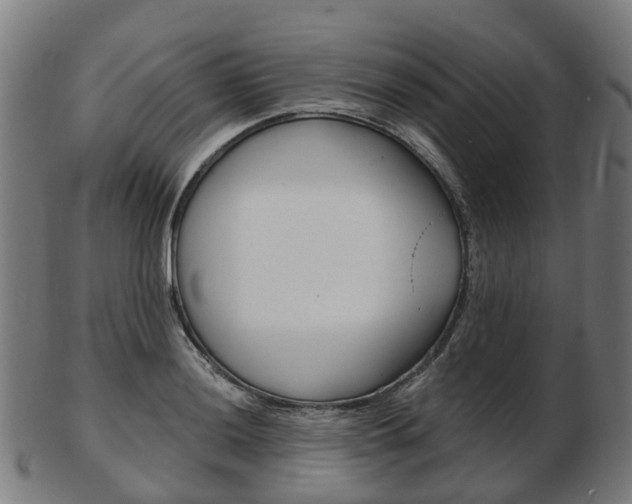 X0000103491036200809120946