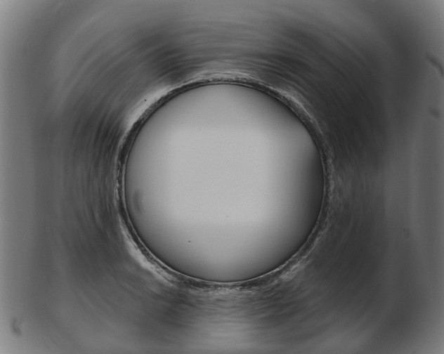 X0000103491038200809120946