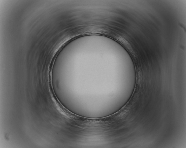 X0000103491039200809120946