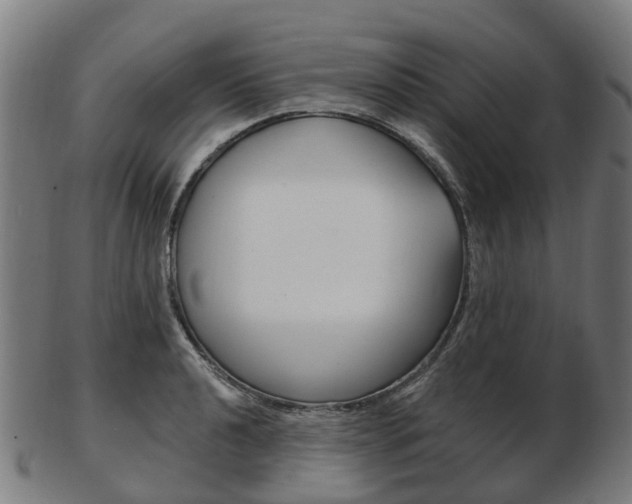X0000103491040200809120946
