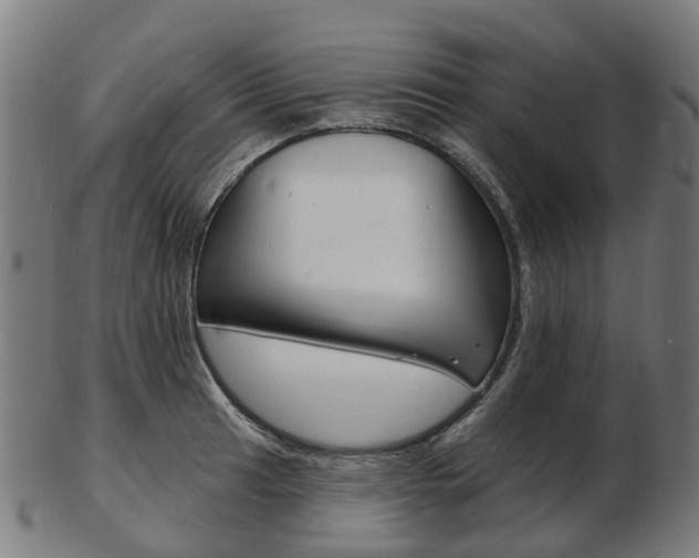 X0000103491041200809120946