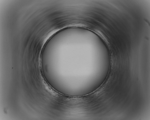 X0000103491044200809120946