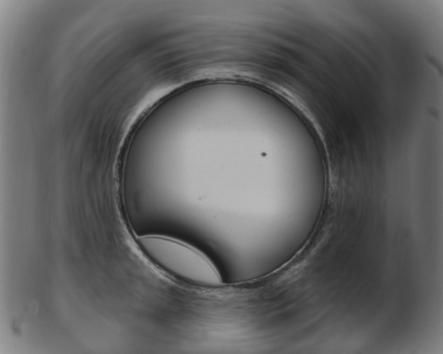 X0000103491045200809120946