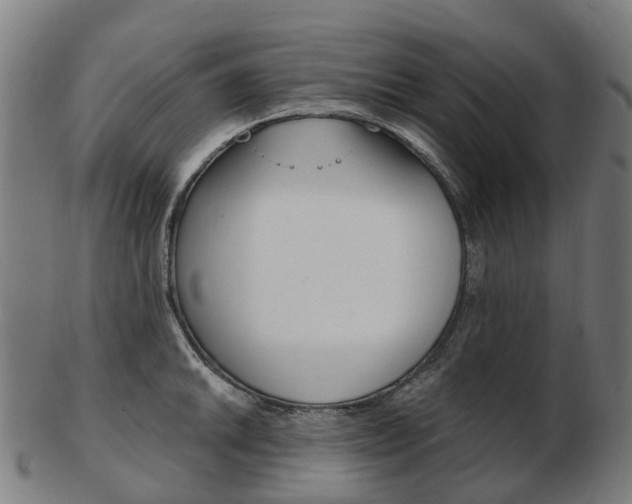 X0000103491046200809120946