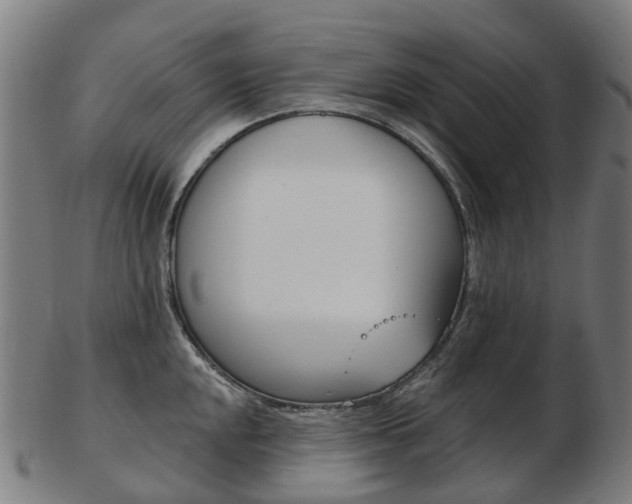 X0000103491048200809120946