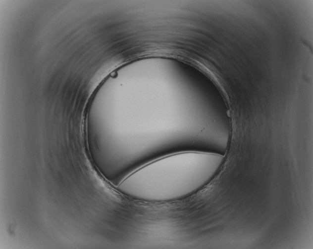X0000103491050200809120946