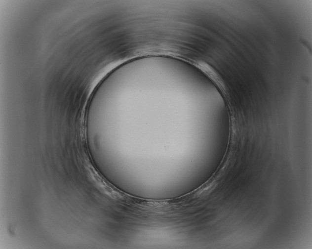 X0000103491052200809120946