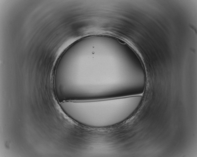 X0000103491053200809120946
