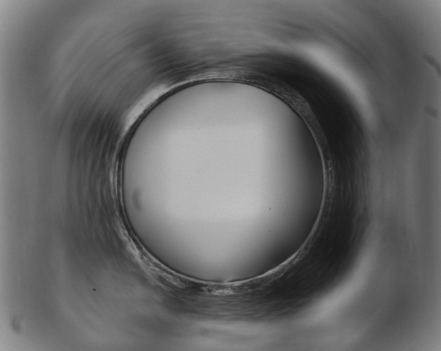 X0000103491054200809120946