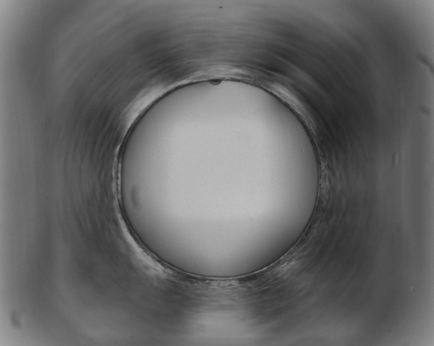 X0000103491055200809120946