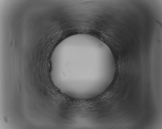 X0000103491057200809120945