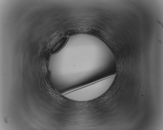 X0000103491058200809120945