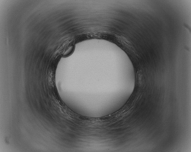 X0000103491060200809120945