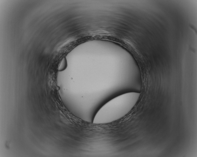 X0000103491063200809120945