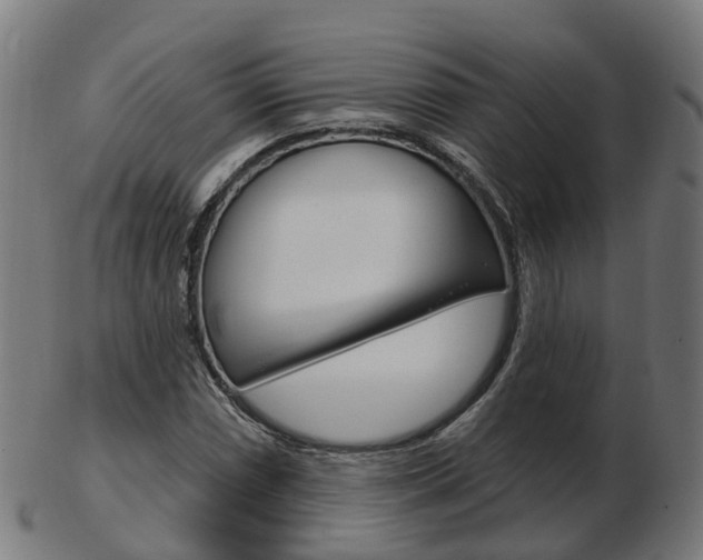 X0000103491066200809120945