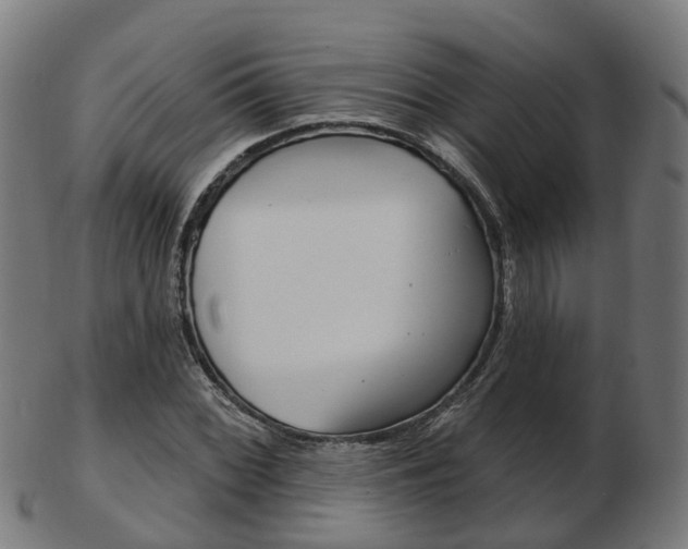 X0000103491068200809120945
