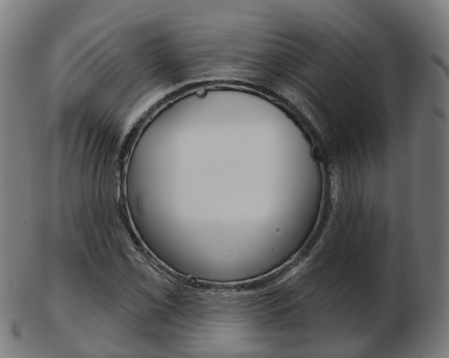 X0000103491069200809120945