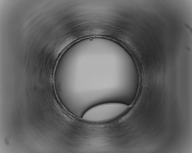 X0000103491073200809120945
