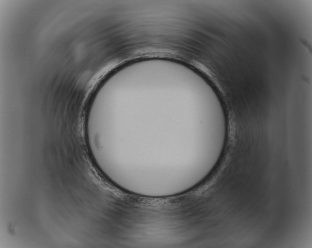 X0000103491074200809120945