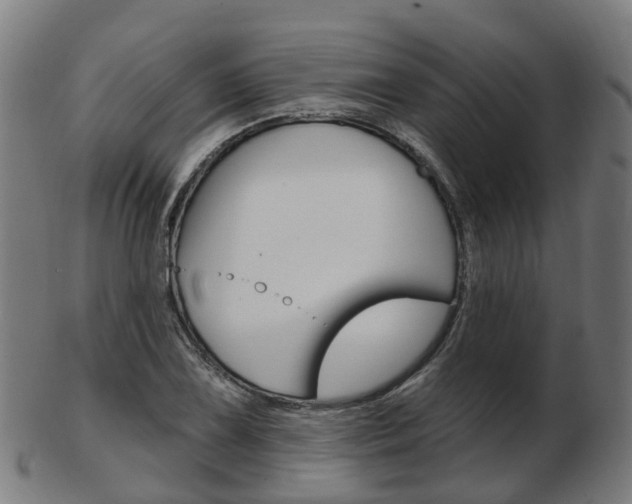 X0000103491075200809120945