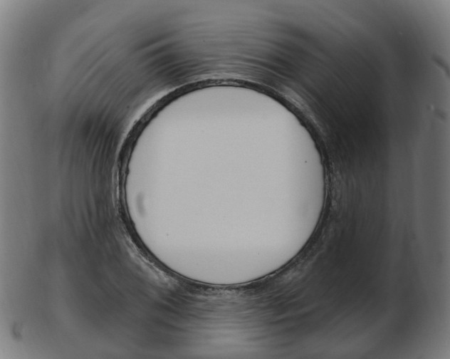X0000103491076200809120945