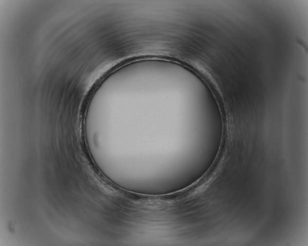 X0000103491077200809120945