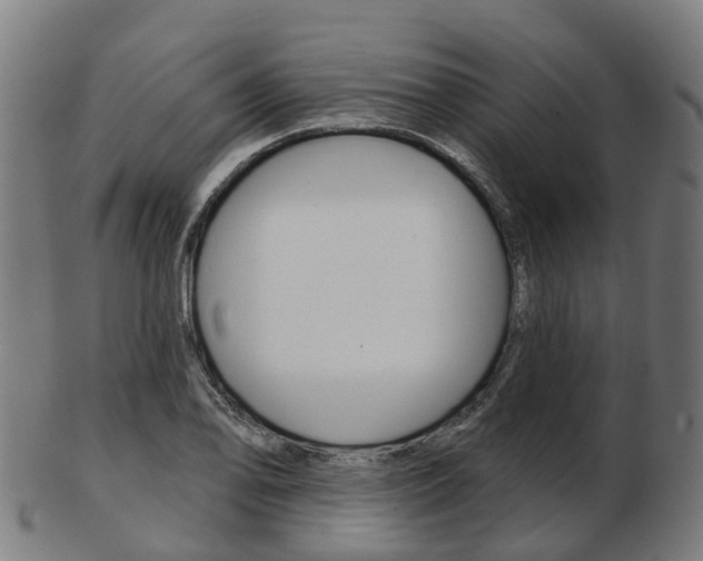 X0000103491078200809120945