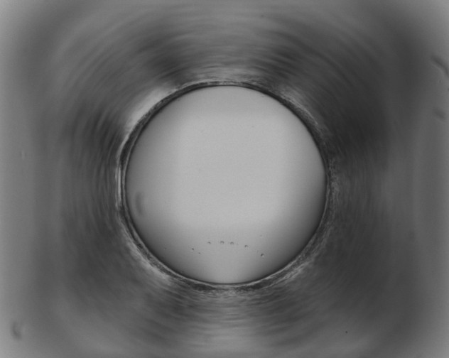 X0000103491079200809120945