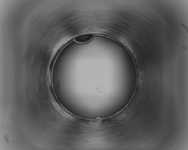 X0000103491080200809120945