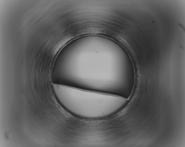 X0000103491081200809120945