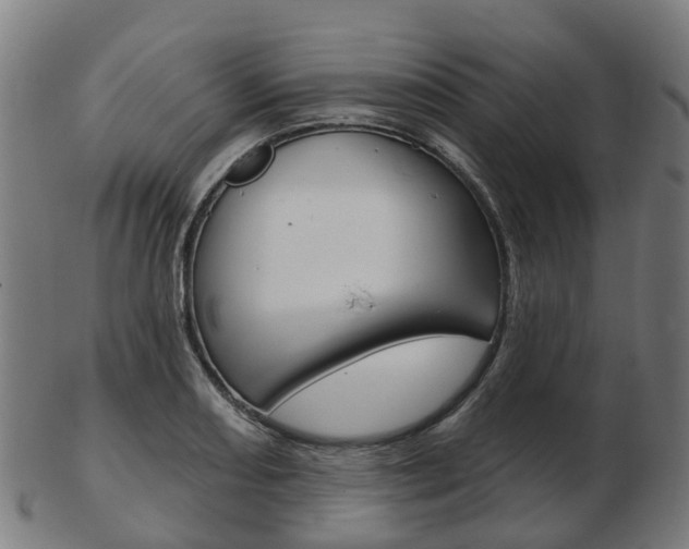X0000103491082200809120945