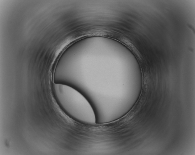 X0000103491083200809120945