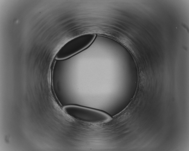 X0000103491084200809120945