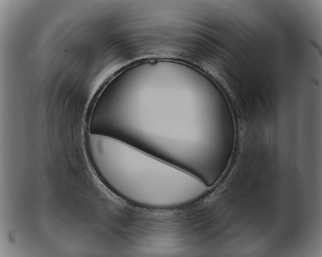 X0000103491085200809120945