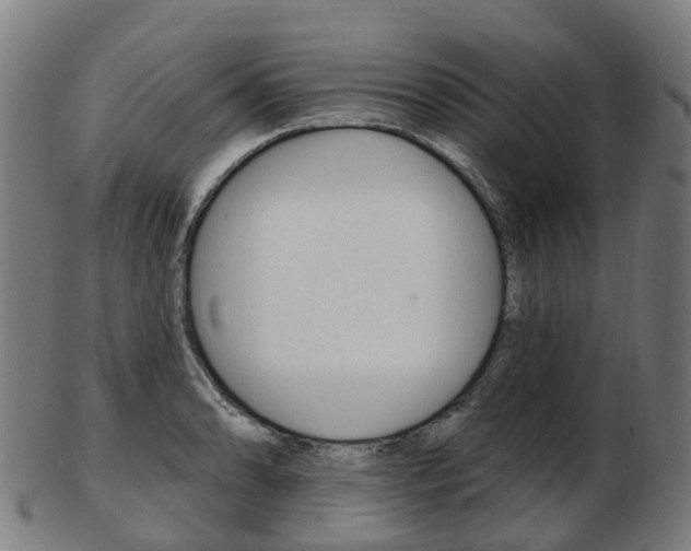 X0000103491086200809120945