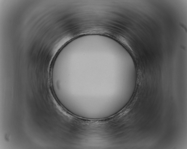 X0000103491087200809120945
