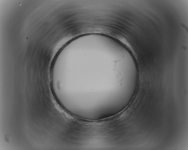 X0000103491088200809120945