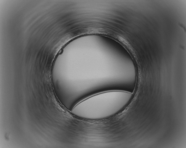X0000103491089200809120945