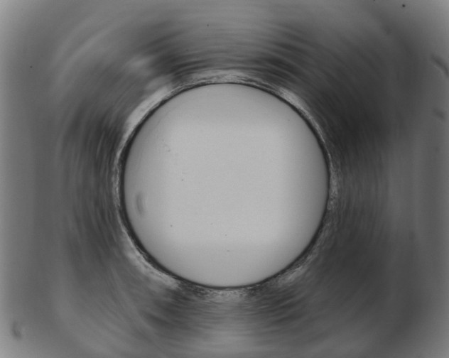 X0000103491090200809120945