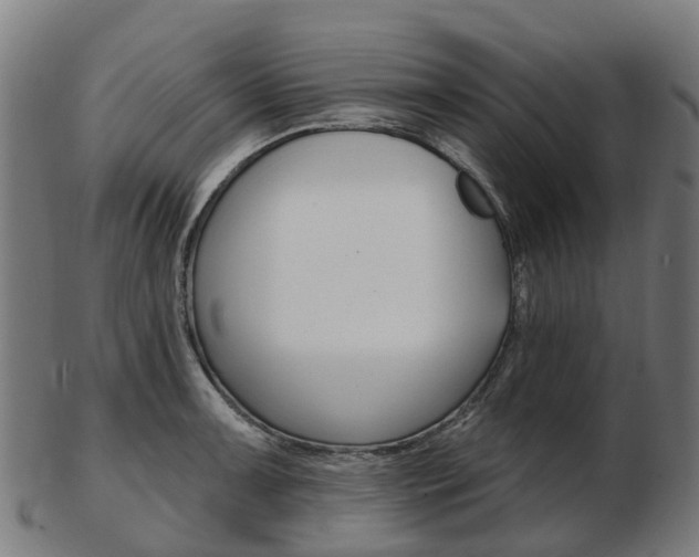 X0000103491091200809120945
