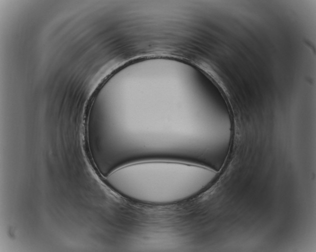 X0000103491093200809120945