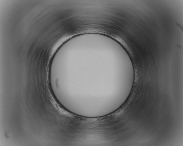 X0000103491094200809120945