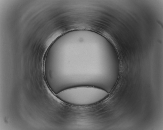 X0000103491095200809120945
