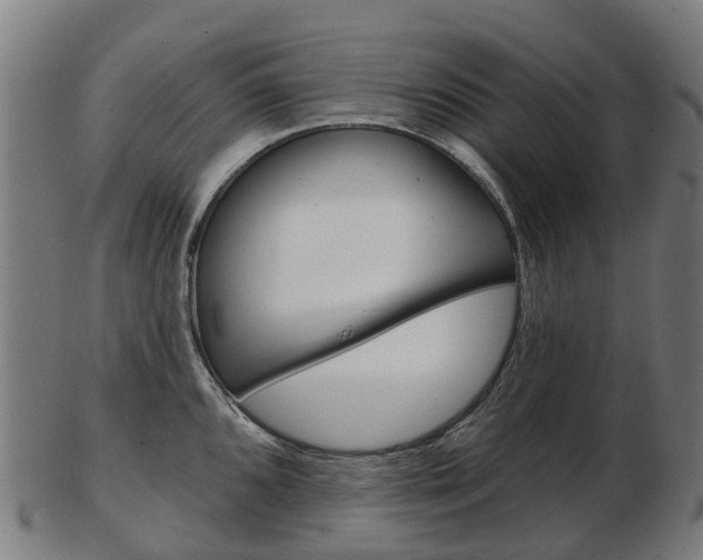 X0000103491096200809120945