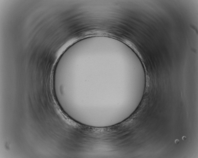 X0000103491098200809120945