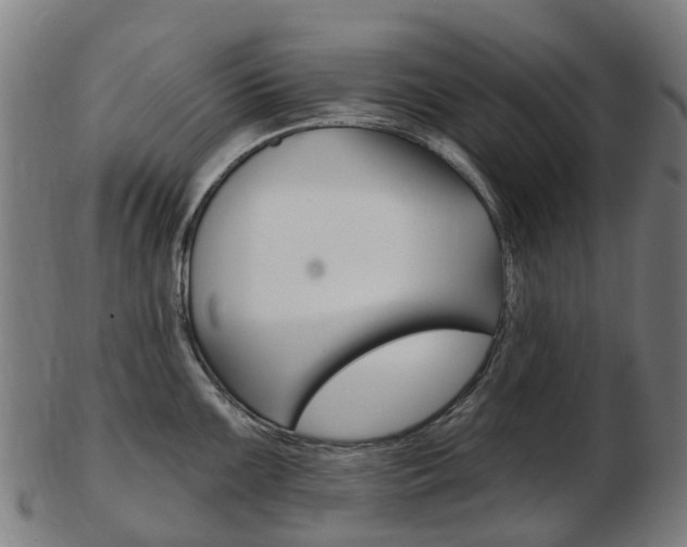 X0000103491099200809120945
