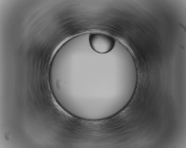 X0000103491100200809120945