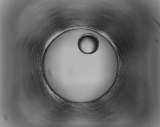 X0000103491101200809120945